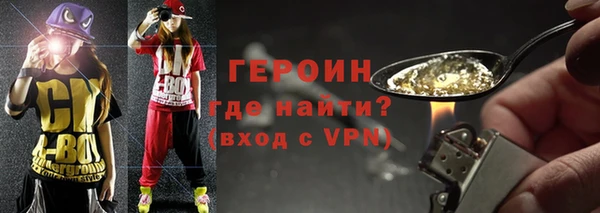 индика Арсеньев