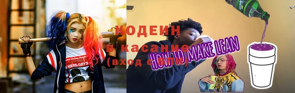 индика Арсеньев