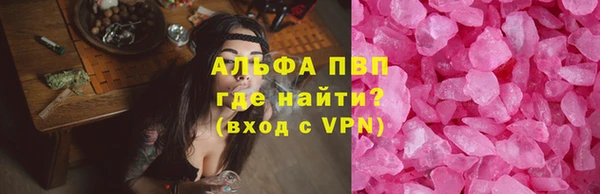 индика Арсеньев