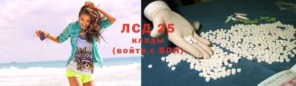 индика Арсеньев