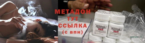 индика Арсеньев