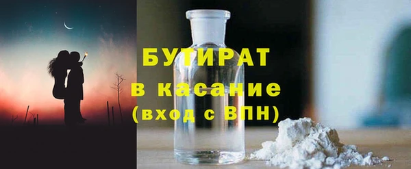 индика Арсеньев