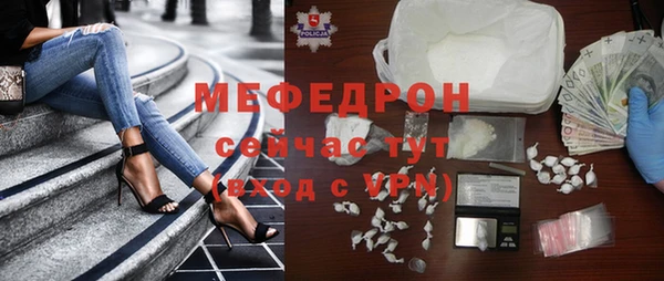 индика Арсеньев