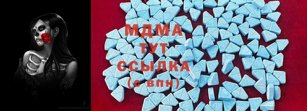 индика Арсеньев
