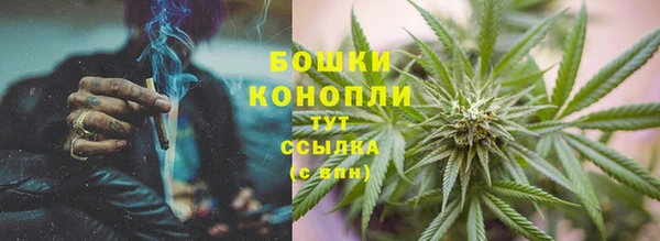 индика Арсеньев