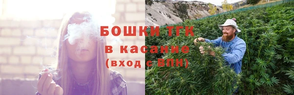 индика Арсеньев