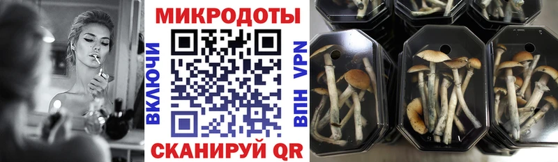Галлюциногенные грибы мухоморы  Сковородино 