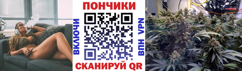 Канабис семена  Сковородино 